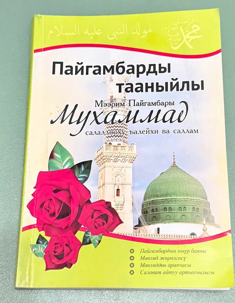 Пайгамбарды тааныйлы китебинин мукабасы